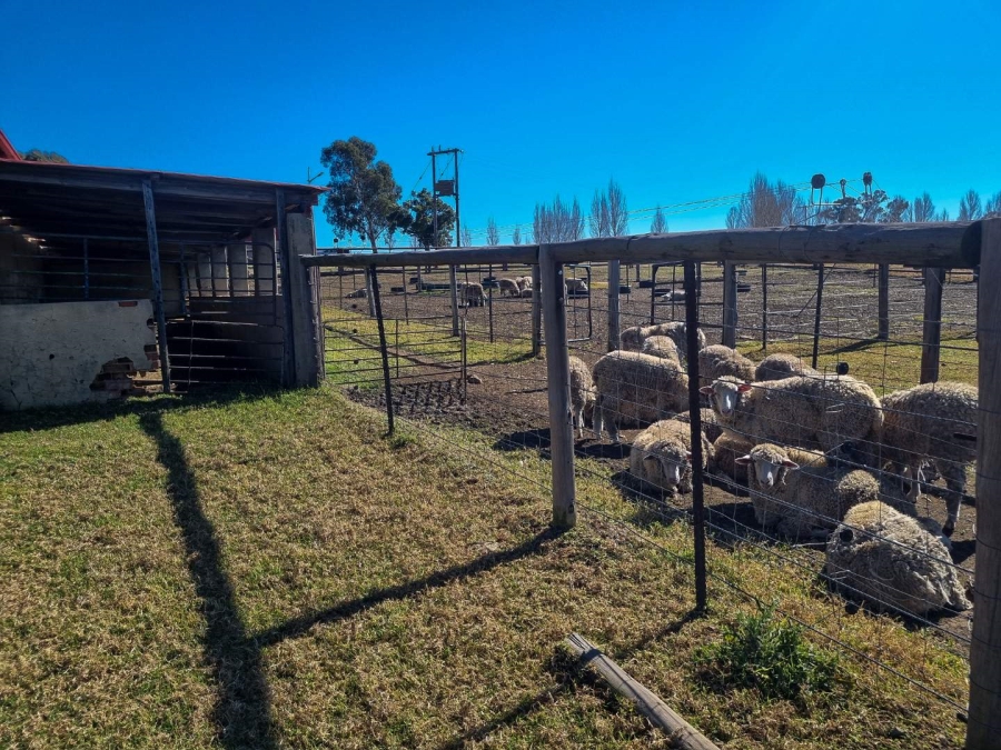 0 Bedroom Property for Sale in Bethlehem Free State